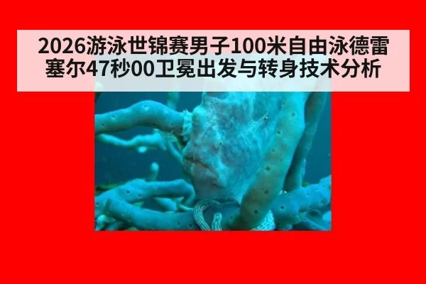 2026游泳世锦赛男子100米自由泳德雷塞尔47秒00卫冕出发与转身技术分析 | ayx